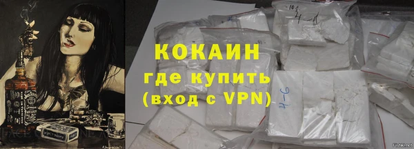 мдпв Ельня