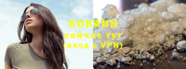мдпв Ельня