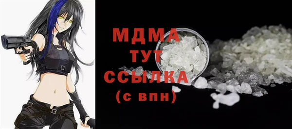мдпв Ельня