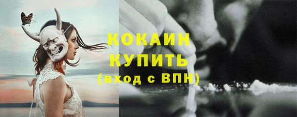 мдпв Ельня