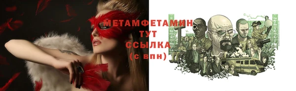 мдпв Ельня