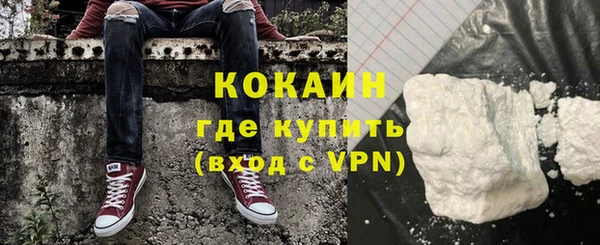 мдпв Ельня