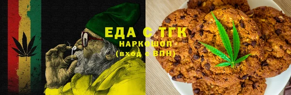 мдпв Ельня