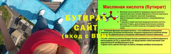 мдпв Ельня