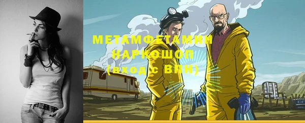 мдпв Ельня