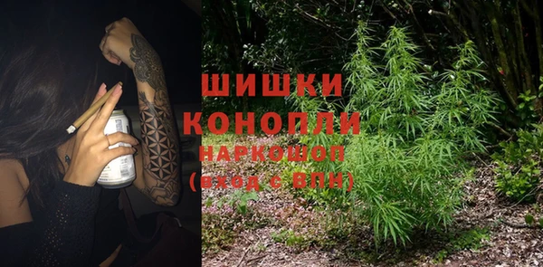 мдпв Ельня